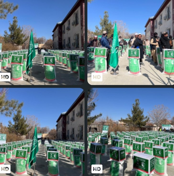 راستون شوي کدوالو سره مرسته